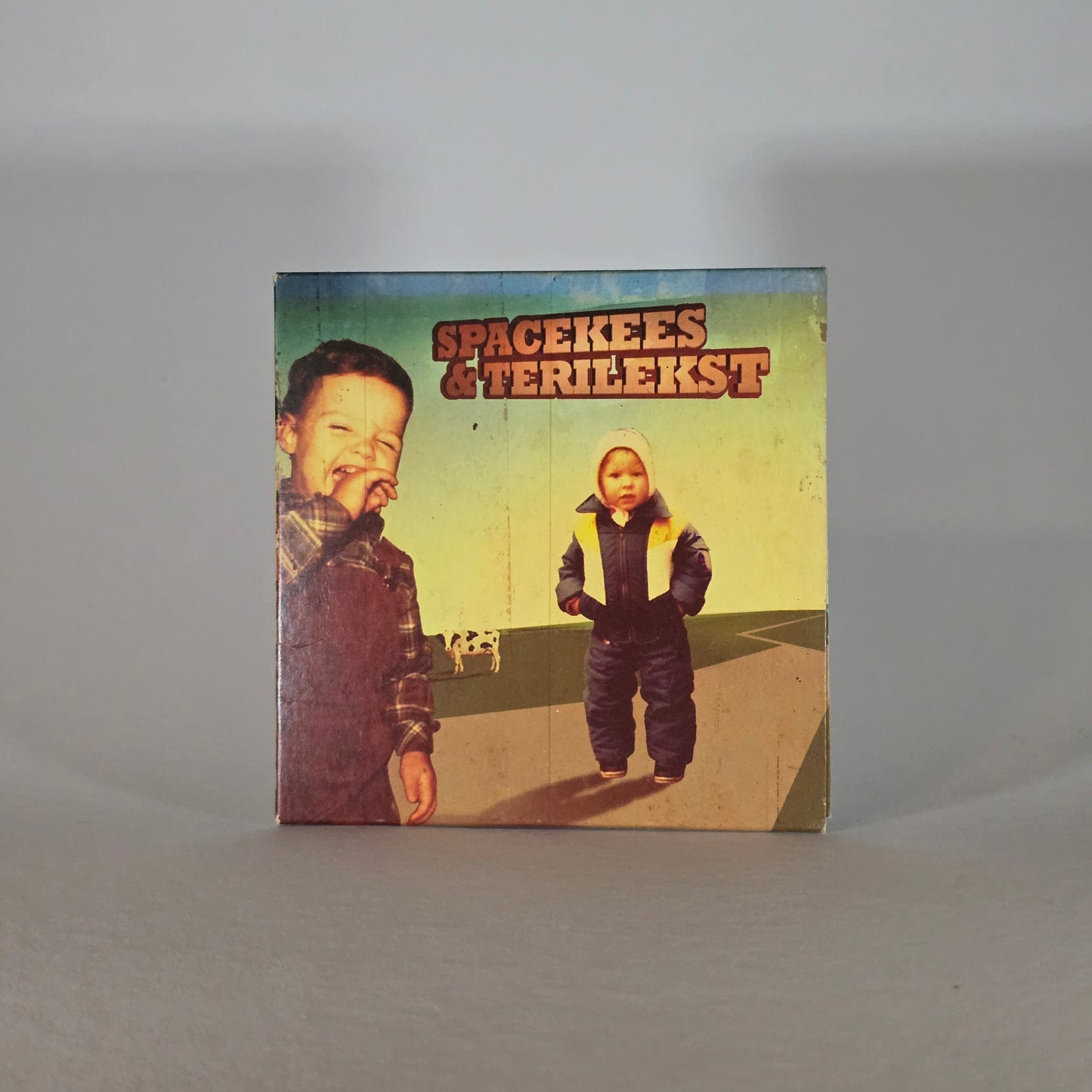 SPACEKEES & TERILEKST - SPACEKEES & TERILEKST CD
