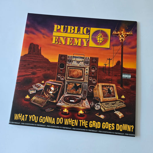 PUBLIC ENEMY - WHAT YOU GONNA DO WHEN THE GRID GOES DOWN VINYL -LIKE NEW!-